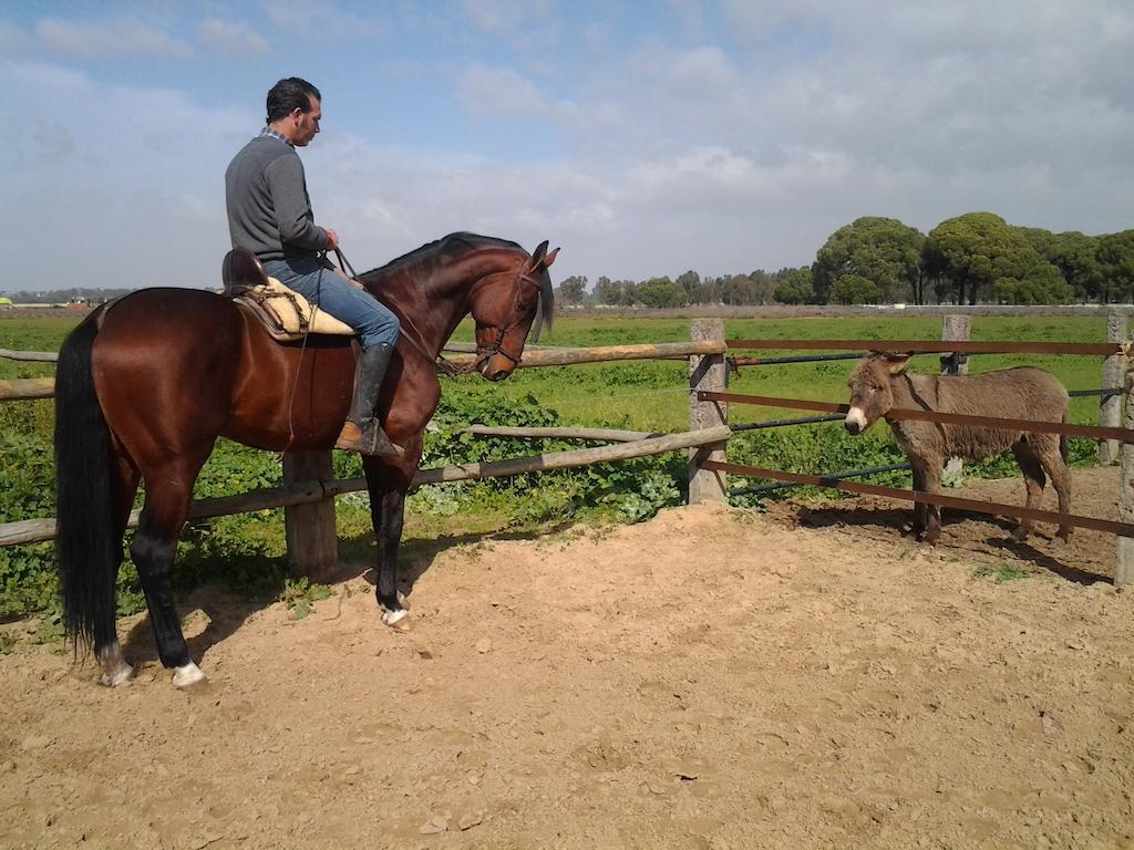 Hacienda La Indiana 3*