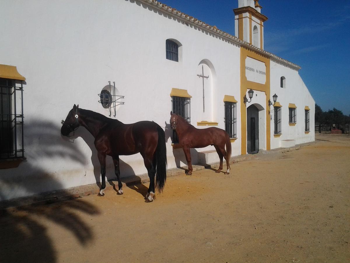Hacienda La Indiana 3*